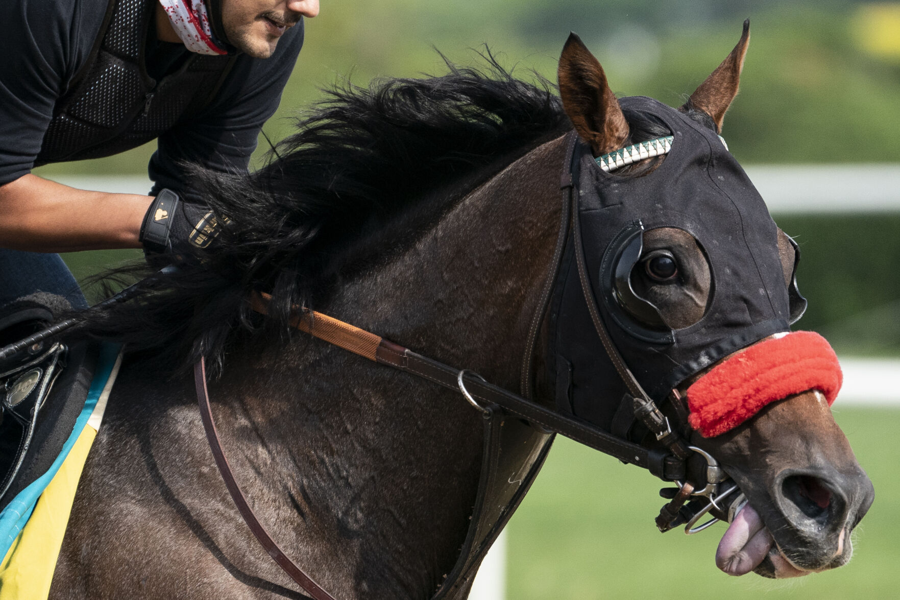 APTOPIX Belmont Stakes Horse Racing